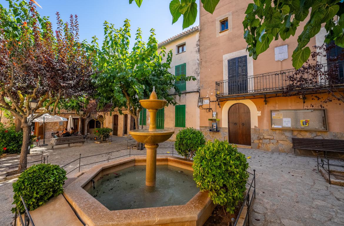 Pla d'arbrat del Pla de Mallorca