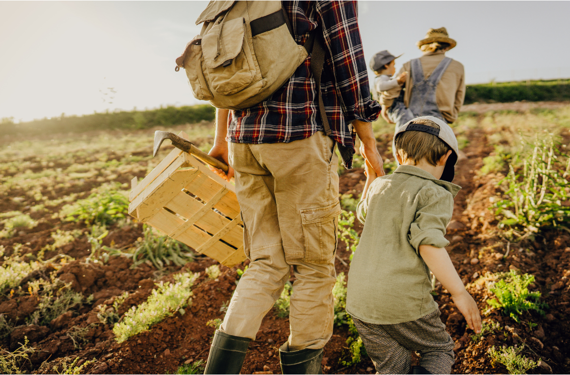 Experiències agroturístiques