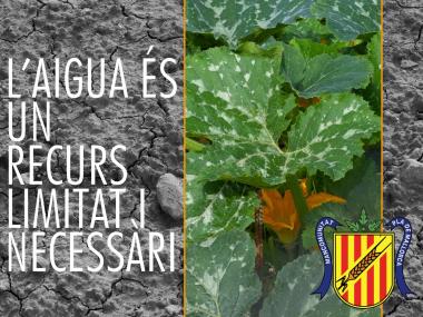 La Mancomunitat aprova de forma definitiva el Pla de Gestió Sostenible de l'Aigua i el seu propi Pla de Gestió davant de situacions d'emergència per sequera.