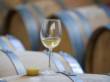 Vino de la Isla_ curs empreses IA 