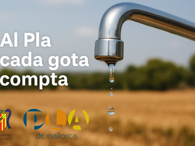 El Pla de Mallorca planta cara a la sequera amb una campanya que posa el focus en cada gota