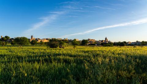 La Mancomunitat del Pla de Mallorca adquireix la parcel·la de Sineu on es construirà el futur dipòsit regulador d'aigua dessalada de la comarca