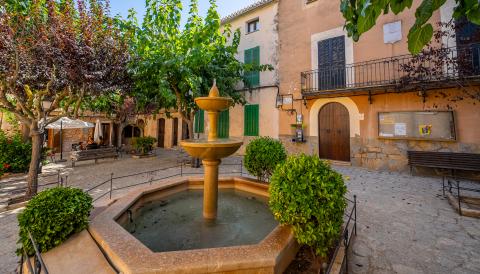 Pla d'arbrat del Pla de Mallorca