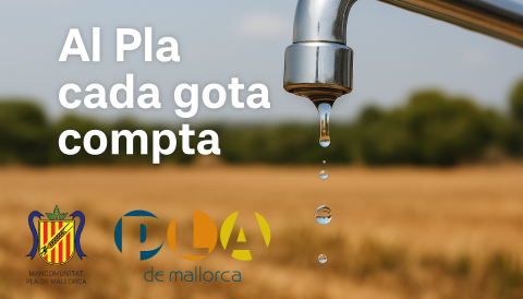 El Pla de Mallorca planta cara a la sequera amb una campanya que posa el focus en cada gota