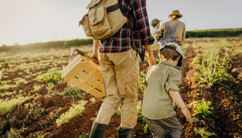 Experiències agroturístiques